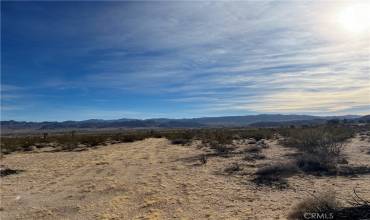 7 Bellflower Road, Joshua Tree, California 92252, ,Land,Buy,7 Bellflower Road,OC24169175