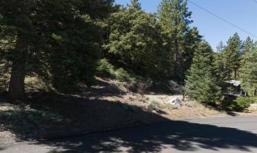 15124 Chestnut Drive, Pine Mountain Club, California 93222, ,Land,Buy,15124 Chestnut Drive,PTP2404924