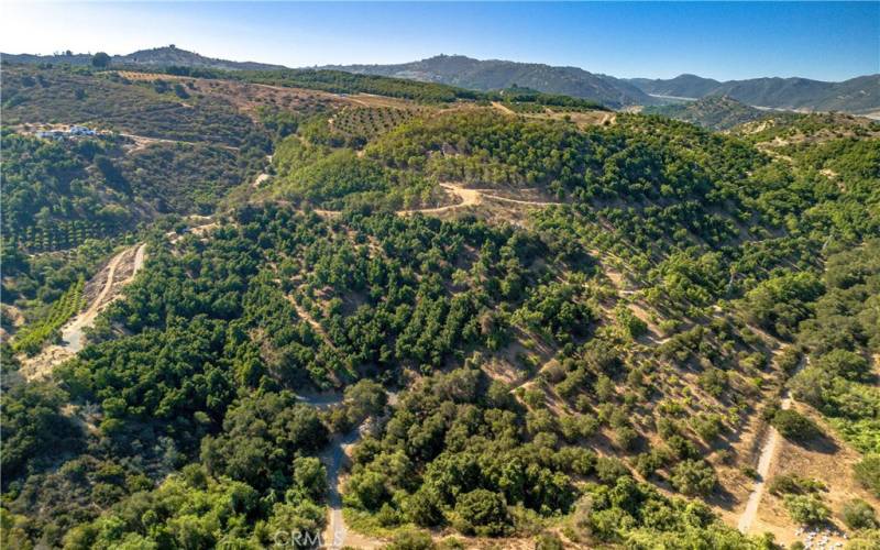 Beautiful hilltop Parcel to build your Dream estate home!