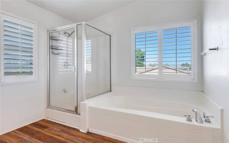 Main Bath shower and garden tub