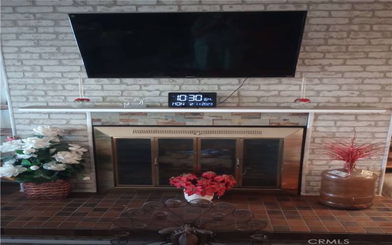 Fireplace and TV