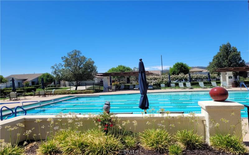 Resort style swimming pool