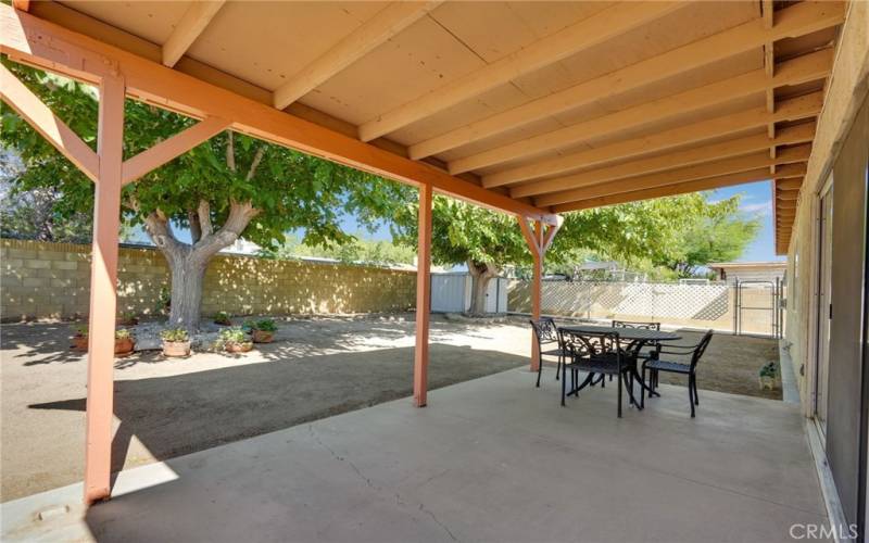 Backyard with covered patio, dog run & storage shed