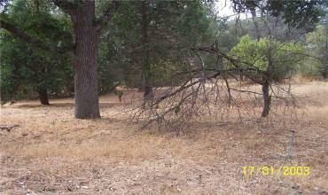 111 Fair Oaks, Oakhurst, California 93644, ,Land,Buy,111 Fair Oaks,FR23001146