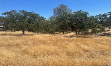 0 Horseshoe, Coarsegold, California 93614, ,Land,Buy,0 Horseshoe,FR23145006