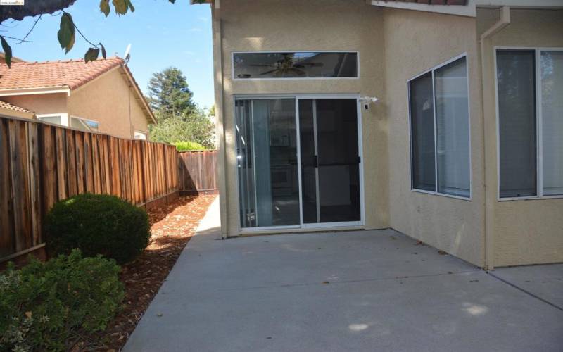 Rear Yard & Patio