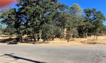 16108 36th Avenue, Clearlake, California 95422, ,Land,Buy,16108 36th Avenue,LC24170176