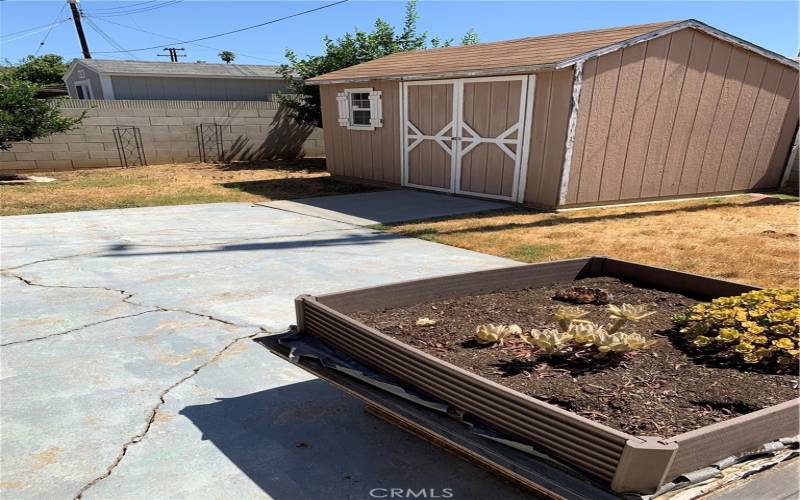 shed in backyard