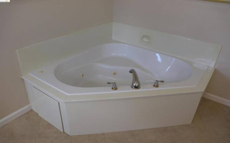 Master Bath Tub