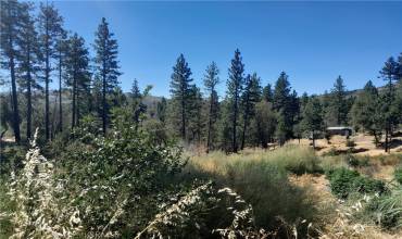 0 Boardman Lane, Concow, California 95928, ,Land,Buy,0 Boardman Lane,SN24169324