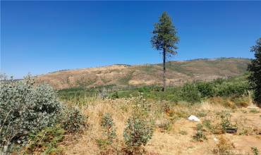 13356 Hog Ranch Road, Oroville, California 95965, ,Land,Buy,13356 Hog Ranch Road,SN24169313