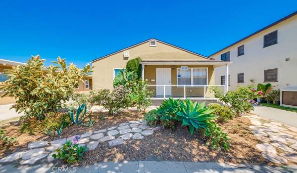 Drought Tolerant front yard