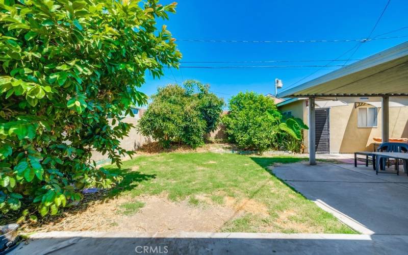 Back yard with bonus room