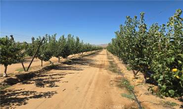 24055 Ottawa Road, Apple Valley, California 92307, ,Land,Buy,24055 Ottawa Road,PW24169691