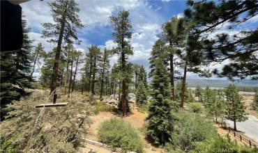 748 Paine Road, Big Bear, California 92315, ,Land,Buy,748 Paine Road,CV24170030