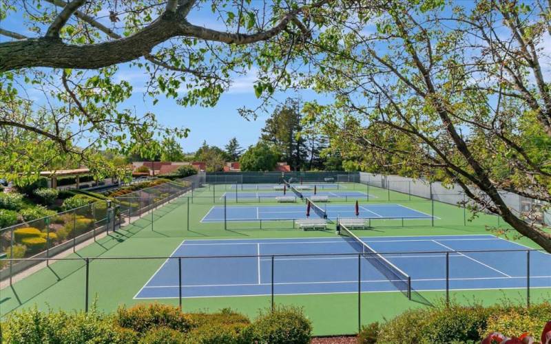 Enjoy The Villages 4 Pickleball courts along with 6 USTA regulation tennis courts