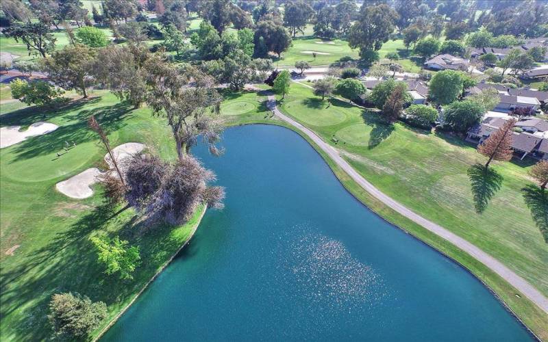 aerial pond view