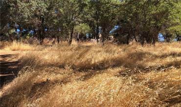 15802 39th Avenue, Clearlake, California 95422, ,Land,Buy,15802 39th Avenue,LC24170367