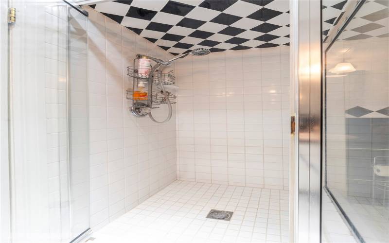 Master bath shower