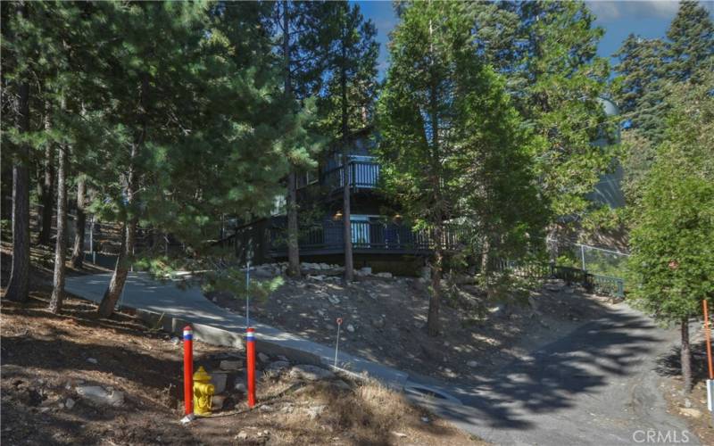 Front view of the Tree House