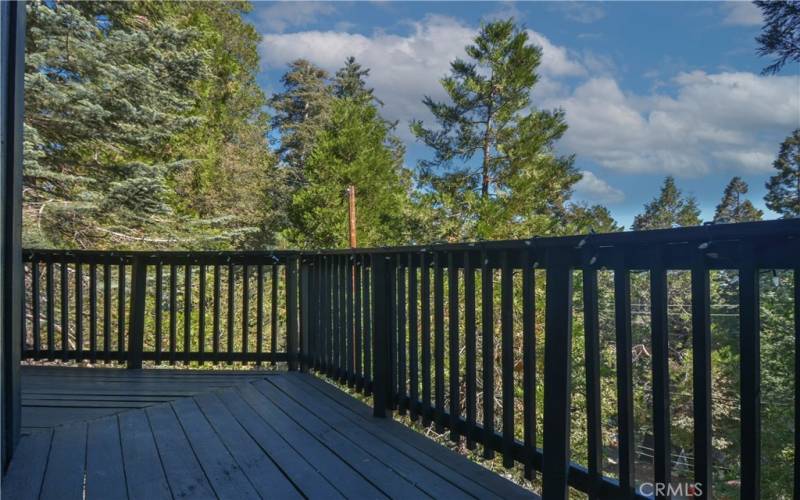 Upper level Deck view