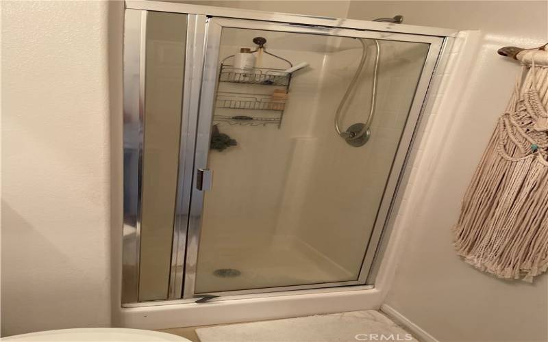 Main Level Shower