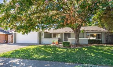 6725 Stephan Court, Gilroy, California 95020, 4 Bedrooms Bedrooms, ,2 BathroomsBathrooms,Residential,Buy,6725 Stephan Court,ML81977239