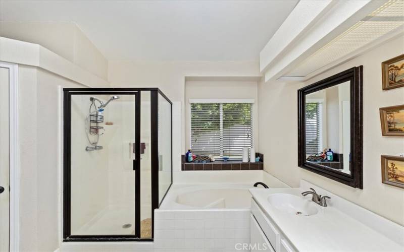 Standing Shower and Soaking Tub