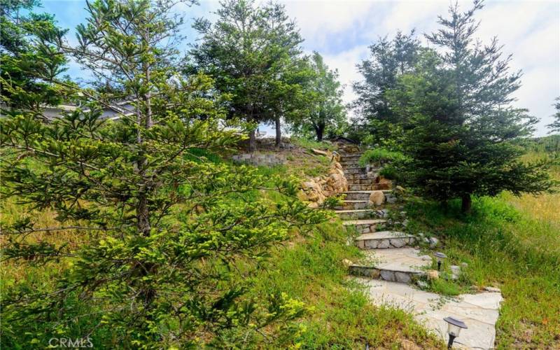 Stairs leading down to retention basin