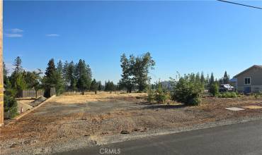 1774 Merrill Road, Paradise, California 95969, ,Land,Buy,1774 Merrill Road,SN24168775