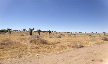 0 Yucca Terrace Drive, Phelan, California 92371, ,Land,Buy,0 Yucca Terrace Drive,HD24171865