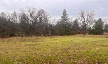 5656 Randack Road, Mariposa, California 95338, ,Land,Buy,5656 Randack Road,MP24172051