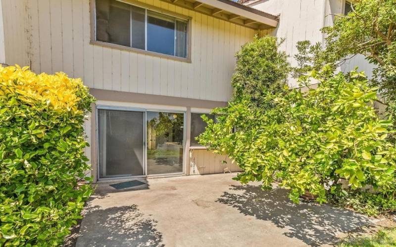 Rear sliding glass doors and pass-through kitchen window to right