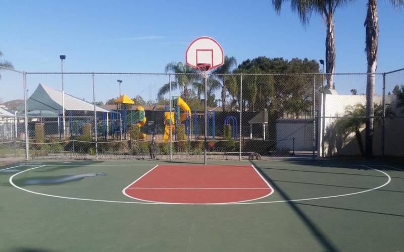 Basketball court (separate indoor gym, too!)