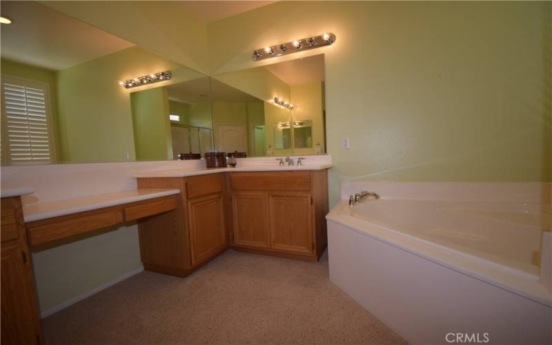 Master bath - soaking tub