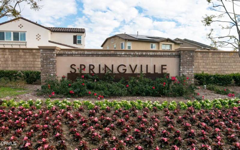 63-web-or-mls-Springville