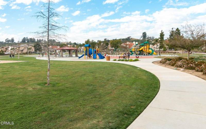 61-web-or-mls-Neighborhood Park