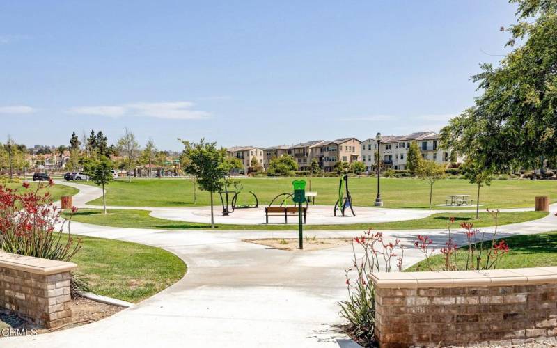 60-web-or-mls-Community Park