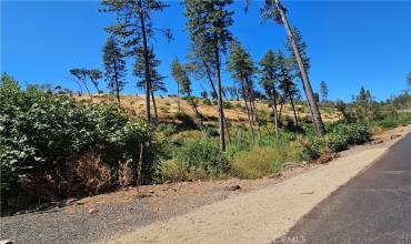 2000 Stearns Road, Paradise, California 95969, ,Land,Buy,2000 Stearns Road,SN24172915