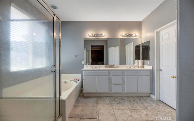 Master (Primary) Bathroom with a walk-in closet.