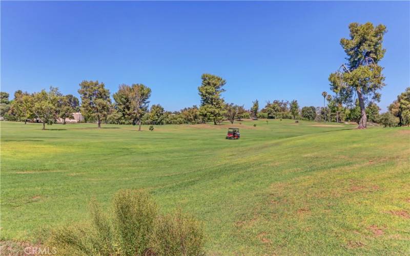 GOLF COURSE ADJACENT TO THE BLDG