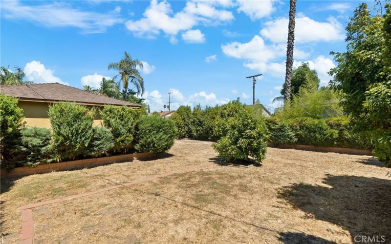 Backyard/ Detached Garage