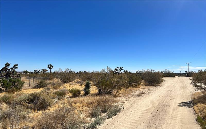 Photo of Sacramento Road and fence from Honey Pear Farm.