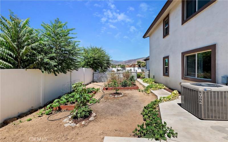 Side Yard Garden