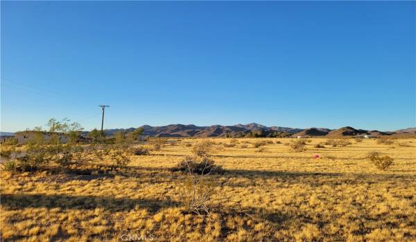 Standing on the lot looking north.