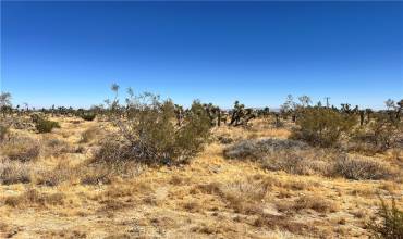 0 APN 3099-171-17-0000, Pinon Hills, California 92372, ,Land,Buy,0 APN 3099-171-17-0000,CV24173569