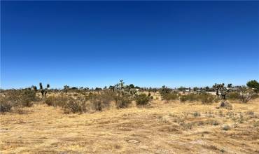 0 Sacramento Court, Pinon Hills, California 92372, ,Land,Buy,0 Sacramento Court,CV24173588