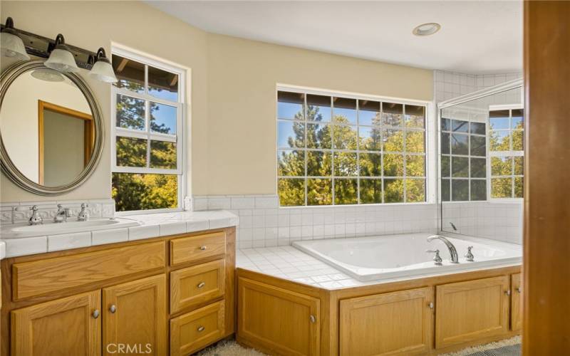 Bath Tub with more views