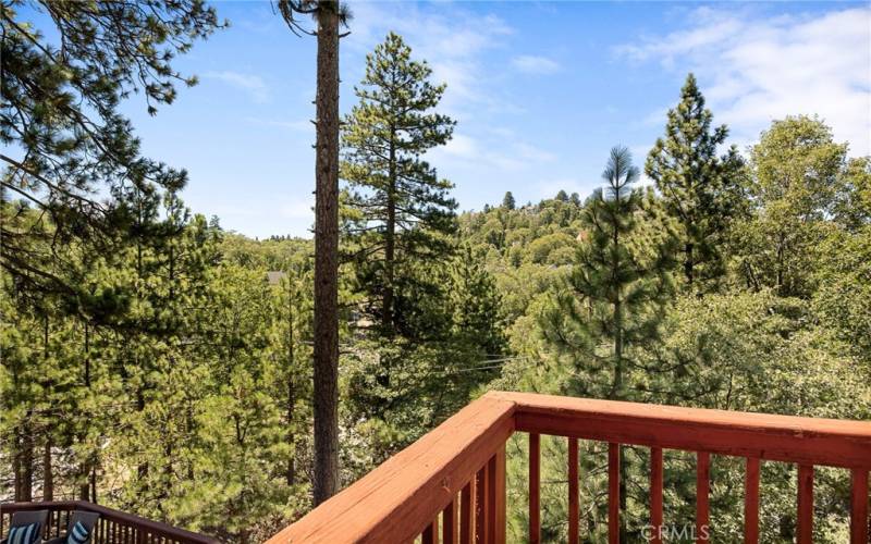 Mountain tree view from deck