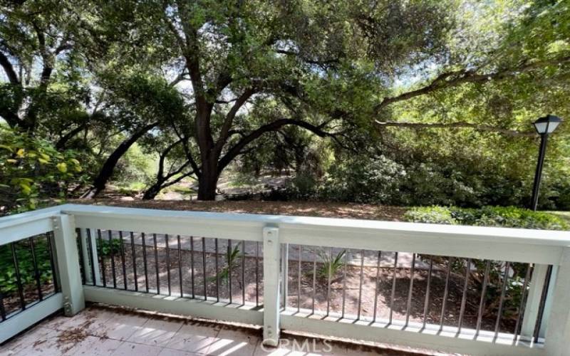 Patio View of creek